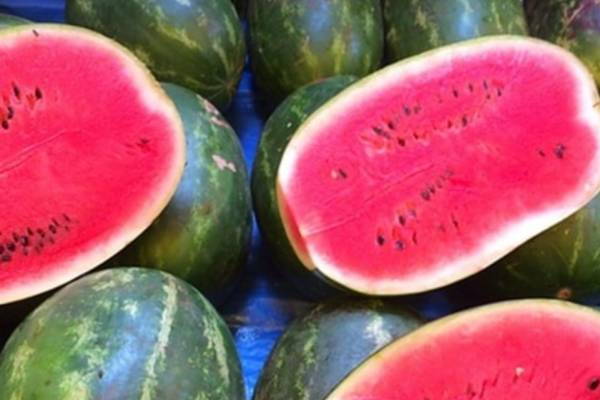 Mi az Izraelben létrehozott új görögdinnye előnye?