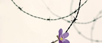 Egy Auschwitz-túlélő könyve a reményről és a szabadságról