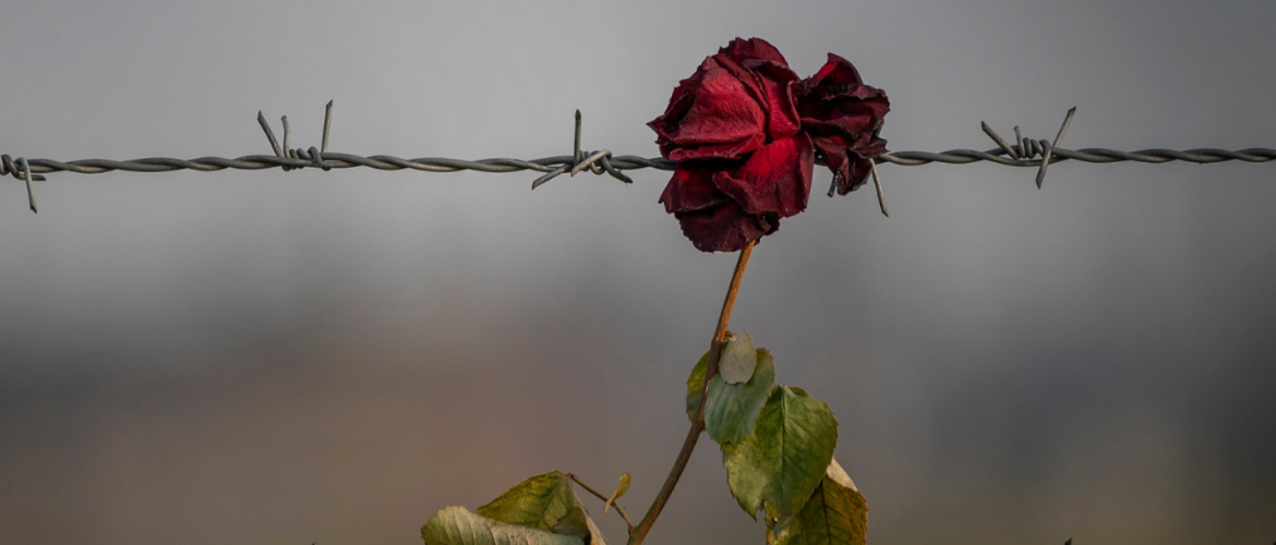 Menet a holokauszt és a háború ellen az életért Szentendrén