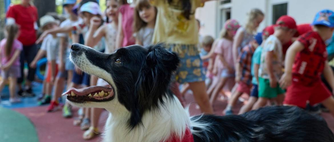 Különleges kutyás foglalkozáson vettek részt a benjaminos gyerekek