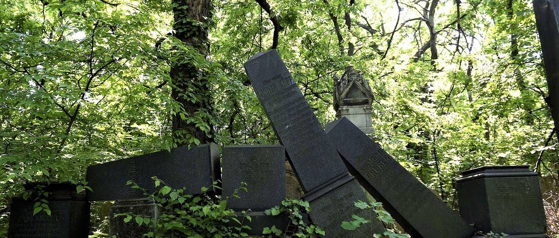 Ingyenes vezetett séták a budapesti Salgótarjáni utcai zsidó temetőben