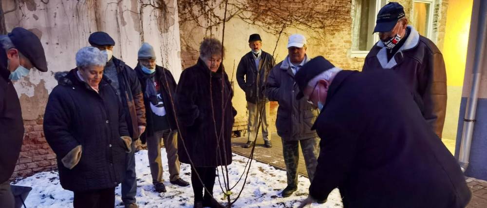 Debrecenben nincs TubiSvat faültetés nélkül | Mazsihisz