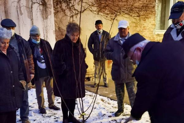 Debrecenben nincs TubiSvat faültetés nélkül