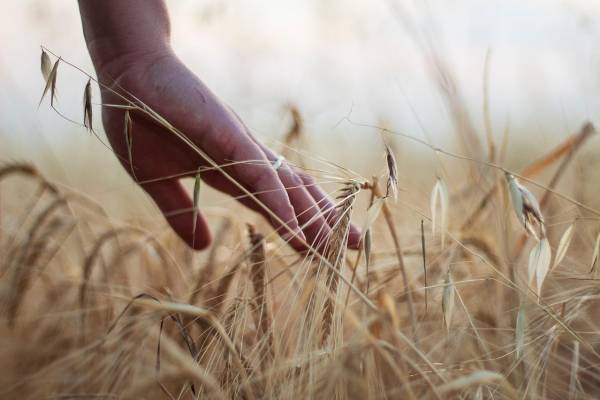 Elul hónap köszöntése – hódes tov!
