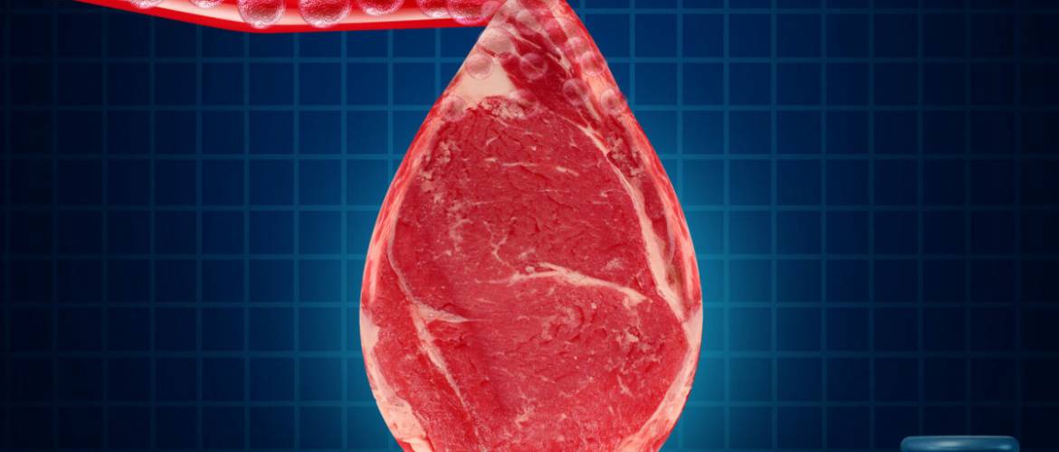 Kóser húst is elő lehet állítani laborban?