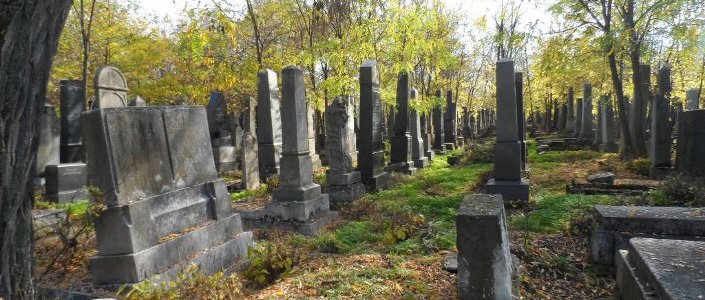 Akció a Kozma utcai zsidó temető régi parcellájának megtisztítására