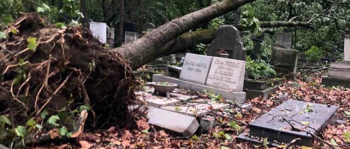 Komoly károkat okozott a csütörtöki vihar a Kozma utcai zsidó temetőben