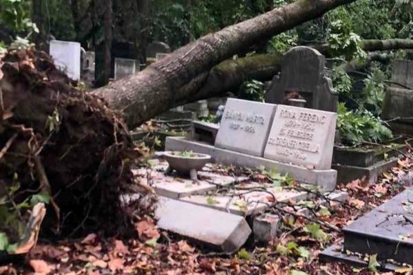 Komoly károkat okozott a csütörtöki vihar a Kozma utcai zsidó temetőben