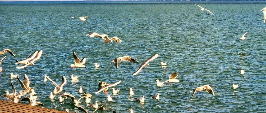 Pihenés, kényelem és kóser vendéglátás Balatonfüred szívében