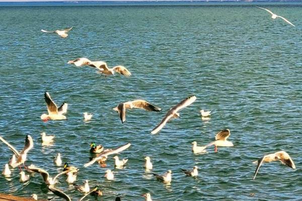 Pihenés, kényelem és kóser vendéglátás Balatonfüred szívében