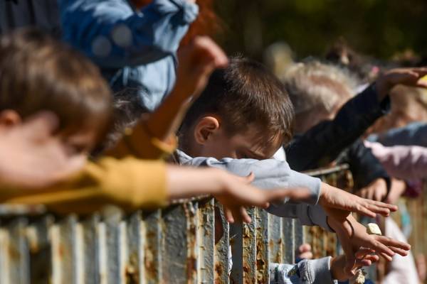 A Benjamin ovisok is készülnek az újévre