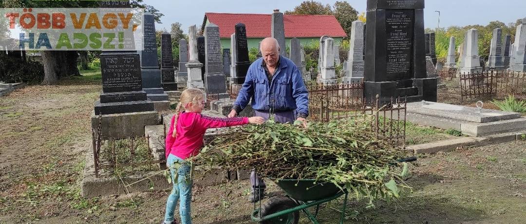 Helyi önkéntesek gyönyörűen rendbe tették a mohácsi zsidó temetőt