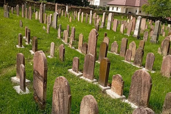 A Mazsihisz rendbehozatta Pilisvörösvár zsidó temetőjét