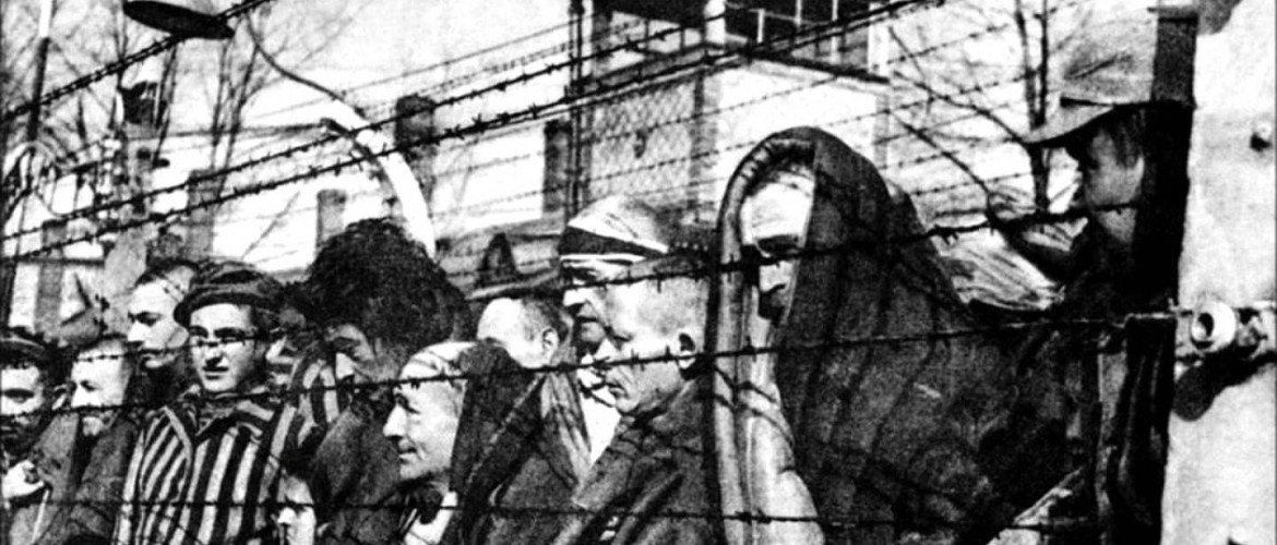 Egy kutatás szerint három hónap alatt ölték meg a holokauszt áldozatainak egynegyedét