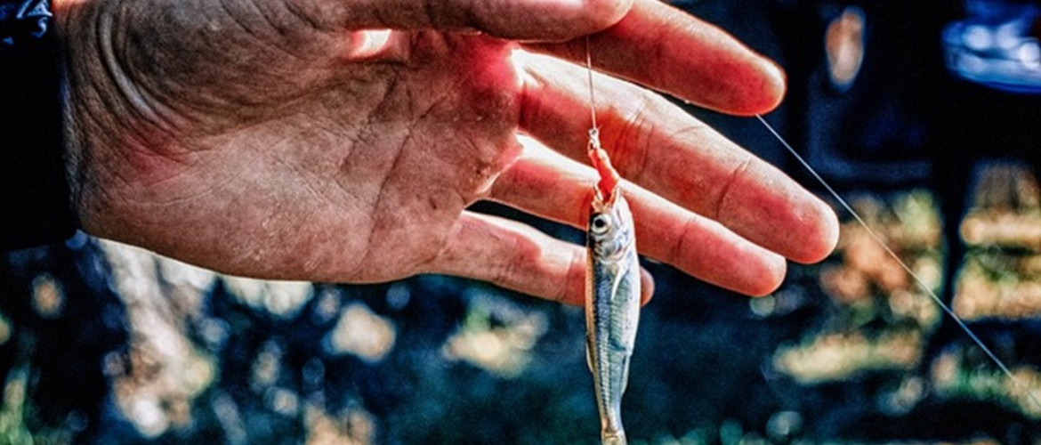 Tizenötezer éves halcsontból készített horgokat találtak
az izraeli régészek