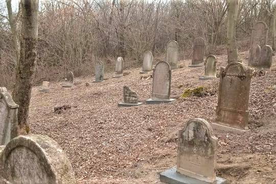 Jó ütemben haladnak a Mazsihisz temetőfelújítási munkálatai