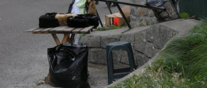 Újév Umanban