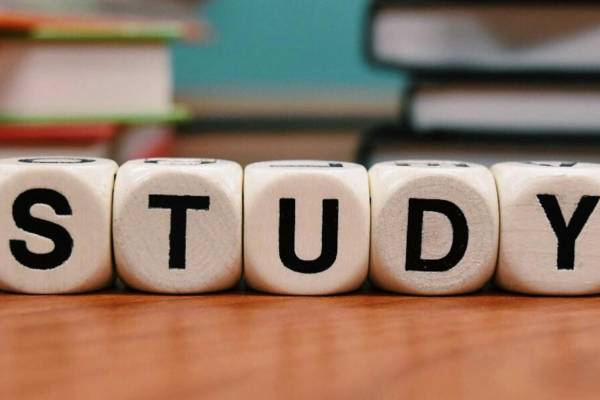 Nyílt nap a BZSH Scheiber Sándor Gimnáziumban