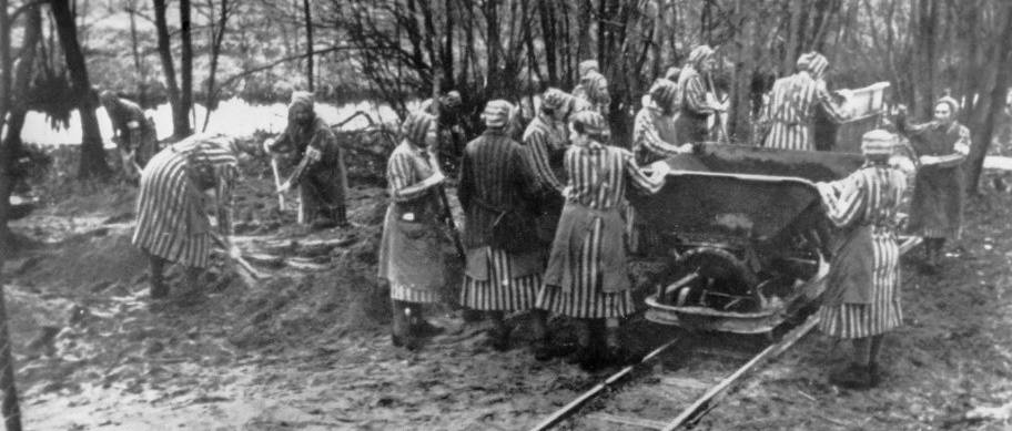 Felhívás: A penigi kényszermunkára hurcolt nők
leszármazottait keressük