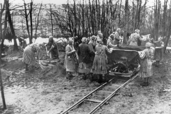 Felhívás: A penigi kényszermunkára hurcolt nők
leszármazottait keressük