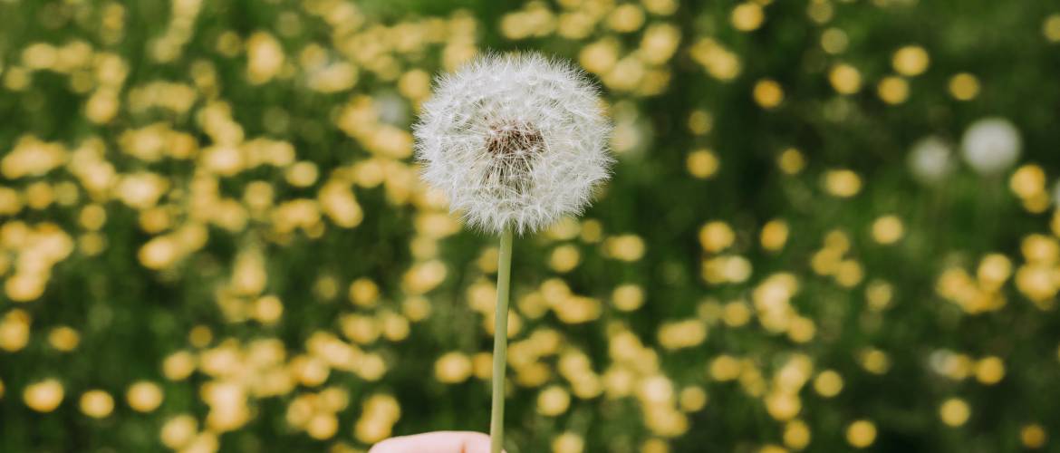 A jécer hárá és a jécer hátov rabbinikus kettőssége