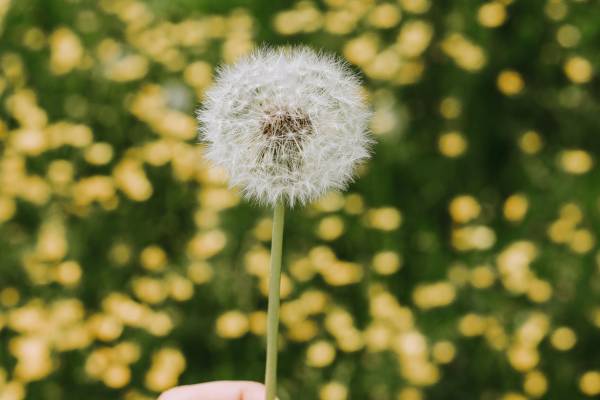 A jécer hárá és a jécer hátov rabbinikus kettőssége