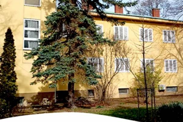 Jobb szezonkezdést kívánni sem lehetett volna! - Már tavasszal megtelt élettel a Mazsihisz-BZSH balatonfüredi üdülője