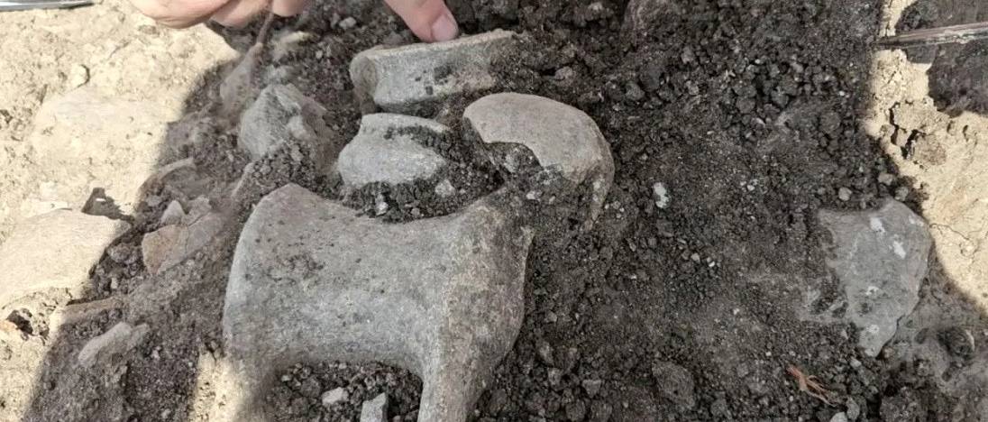 Ahol és amikor megszületett a bor – 5000 éves szőlőprés a Jezréel-völgyben