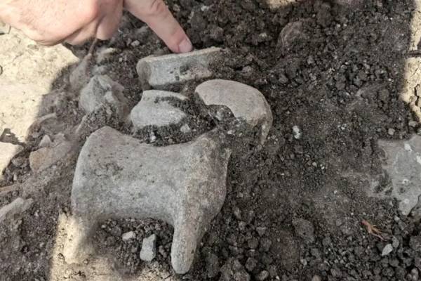 Ahol és amikor megszületett a bor – 5000 éves szőlőprés a Jezréel-völgyben