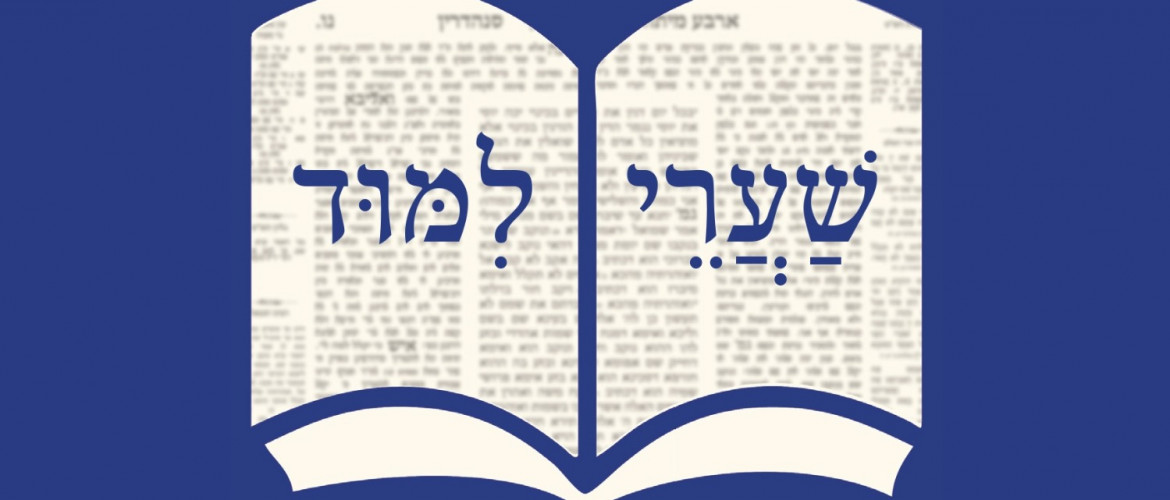 Megjelent a Bevezetés a Talmud tanulmányozásába című könyv