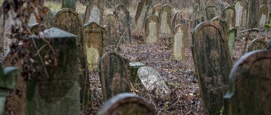 Megjelent a Fiumei úti sírkert és a Salgótarjáni utcai zsidó temető adattára