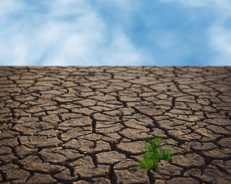 drought-7135470_1280.jpg