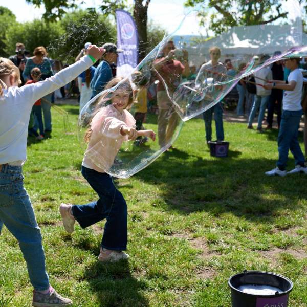 20250525_SzentIstvanPark_webre79.jpg
