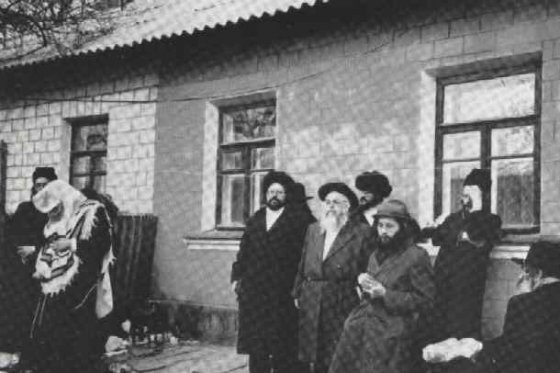 uman_3.jpg
