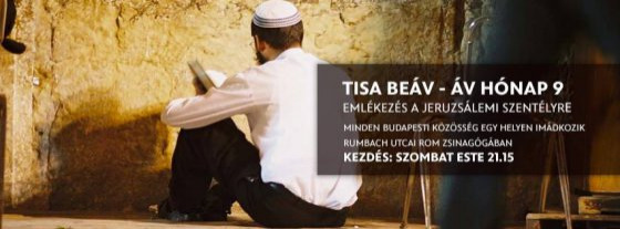 tisa_boav_2016.jpg