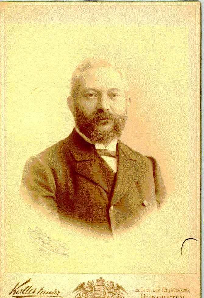 kaufman-dávid.jpg