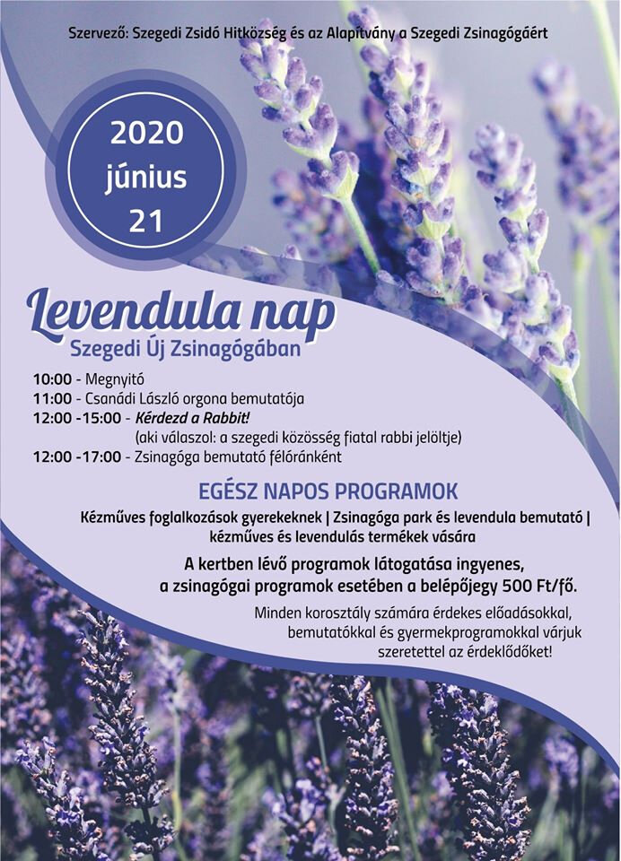 levendulanap-szeged.jpg