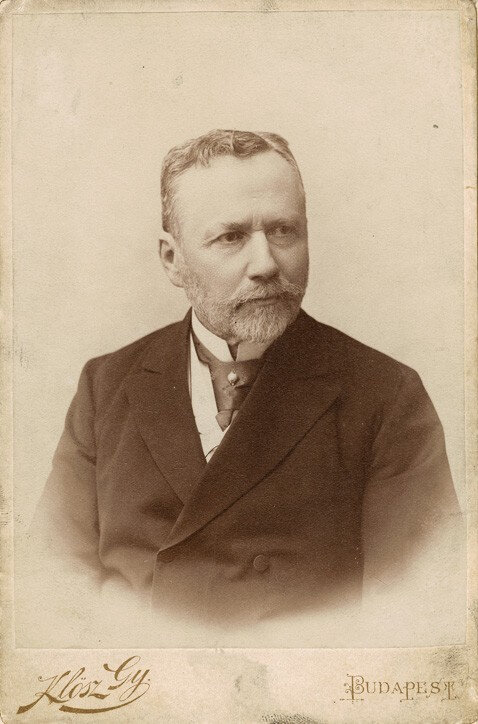 Korányi Frigyes, a modern magyar belgyógyászat egyik megalapítója