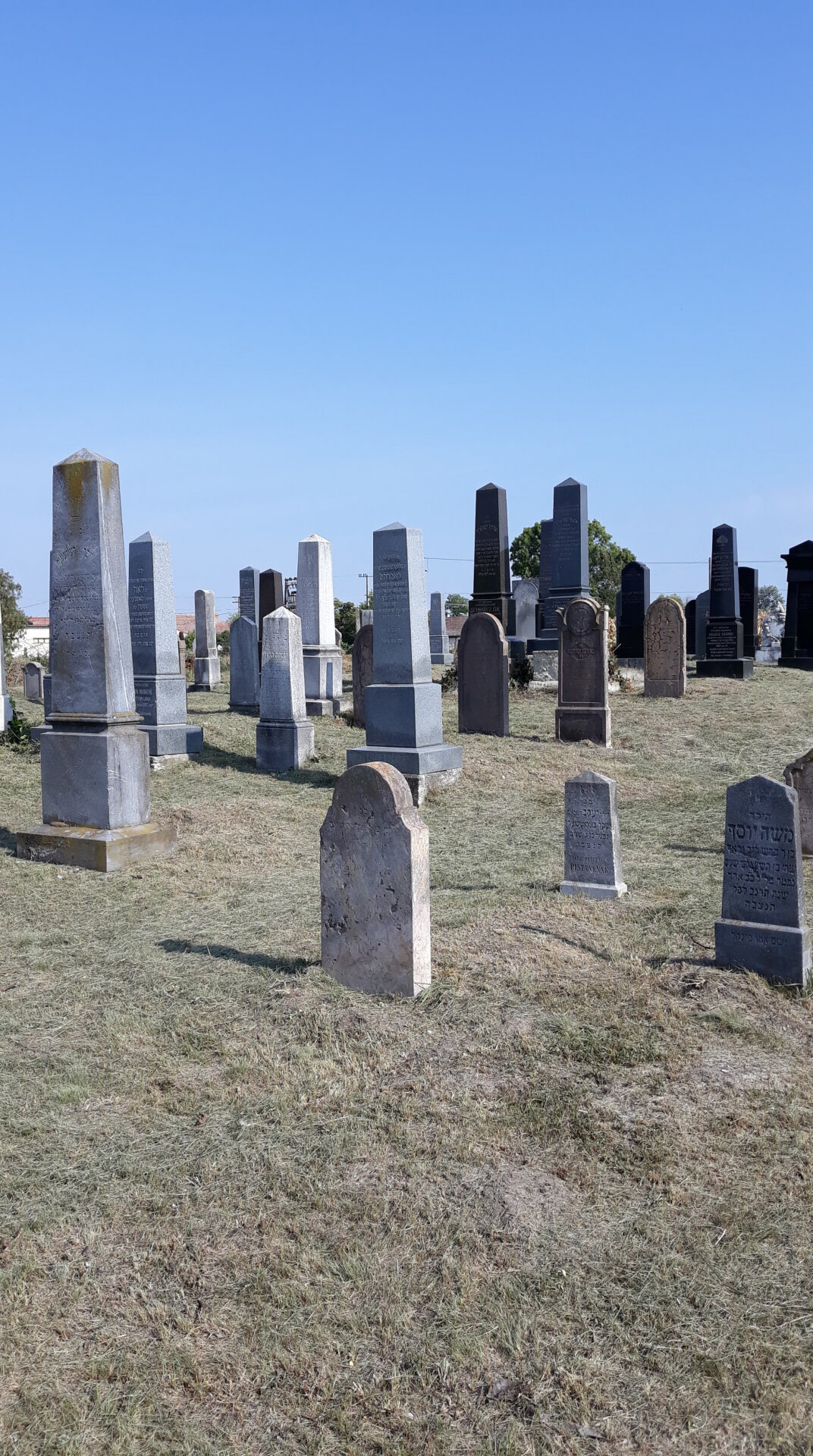 Zsidó temető Szabadszállás