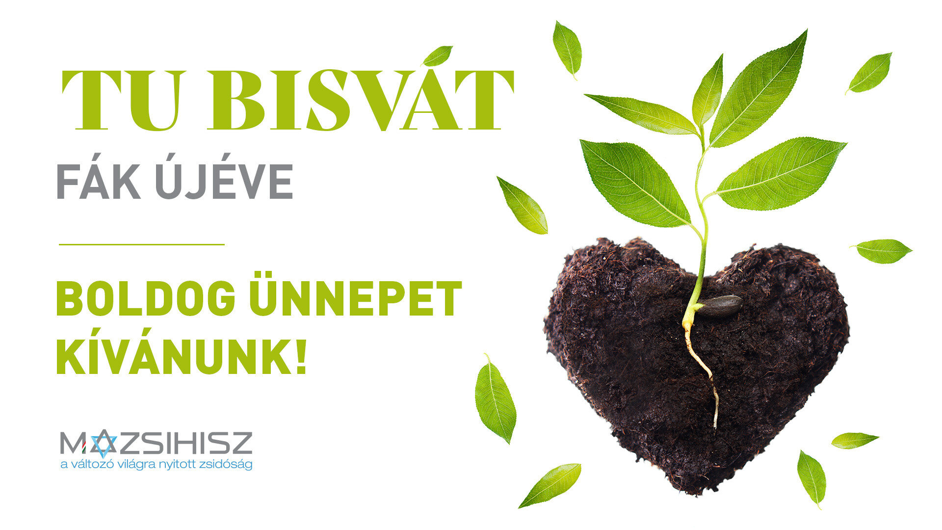 Tu_bisvat_video (002).jpg