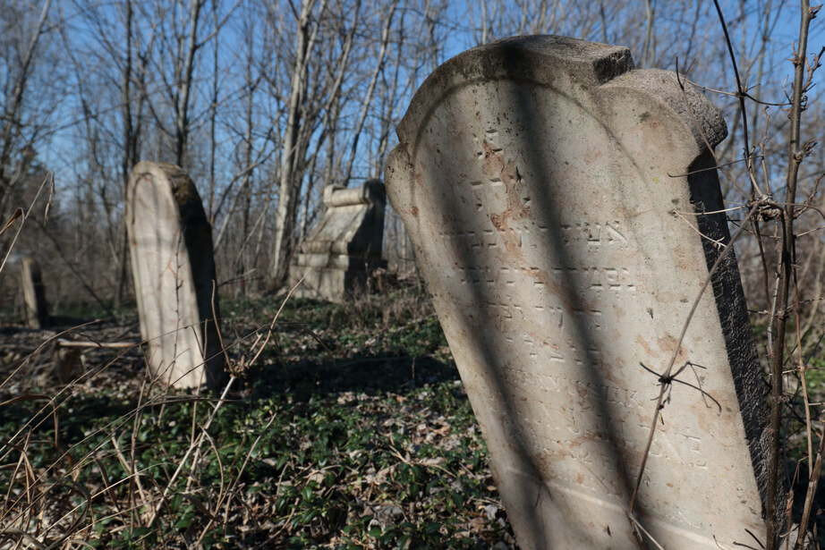 Utoljára 1937-ben temettek a sírkertben, amelyben 37 sír található Fotó: Nagy Norbert / Fejér Megyei Hírlap