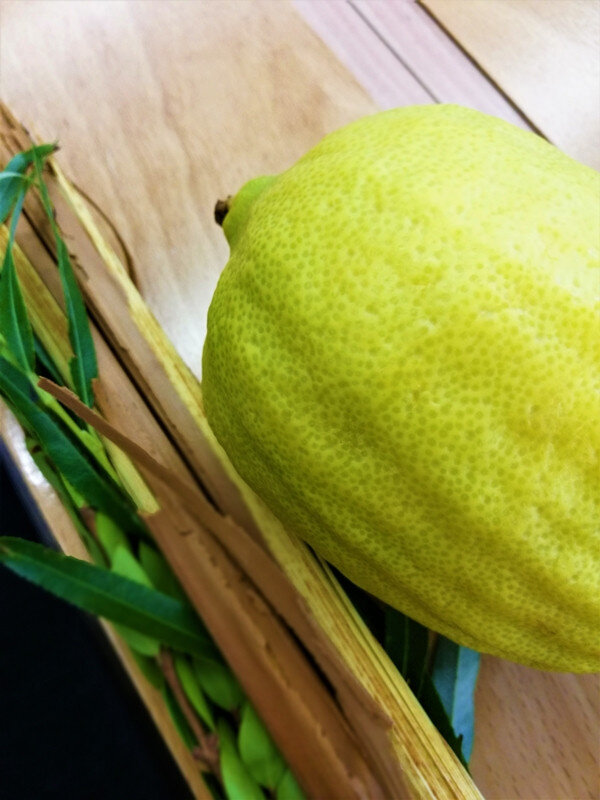 etrog.jpg