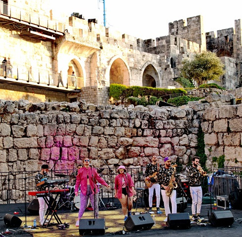 heringman collective.JPG