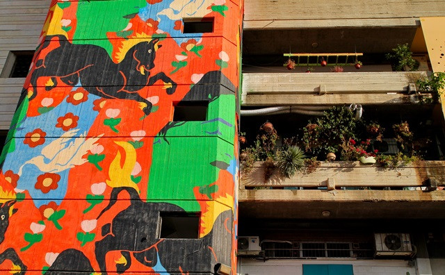 talpyot 2, horse balcon  (3).JPG