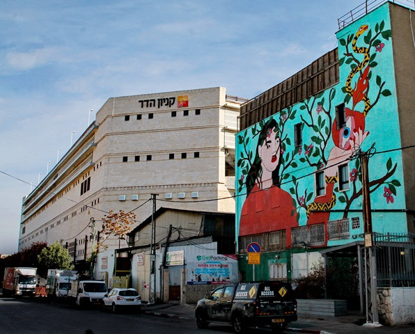 talpyot EVA big total JPG.JPG