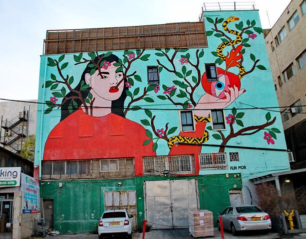 talpyot EVA total JPG.JPG