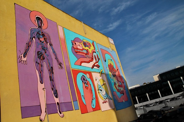 talpyot head bird.MAN  .JPG