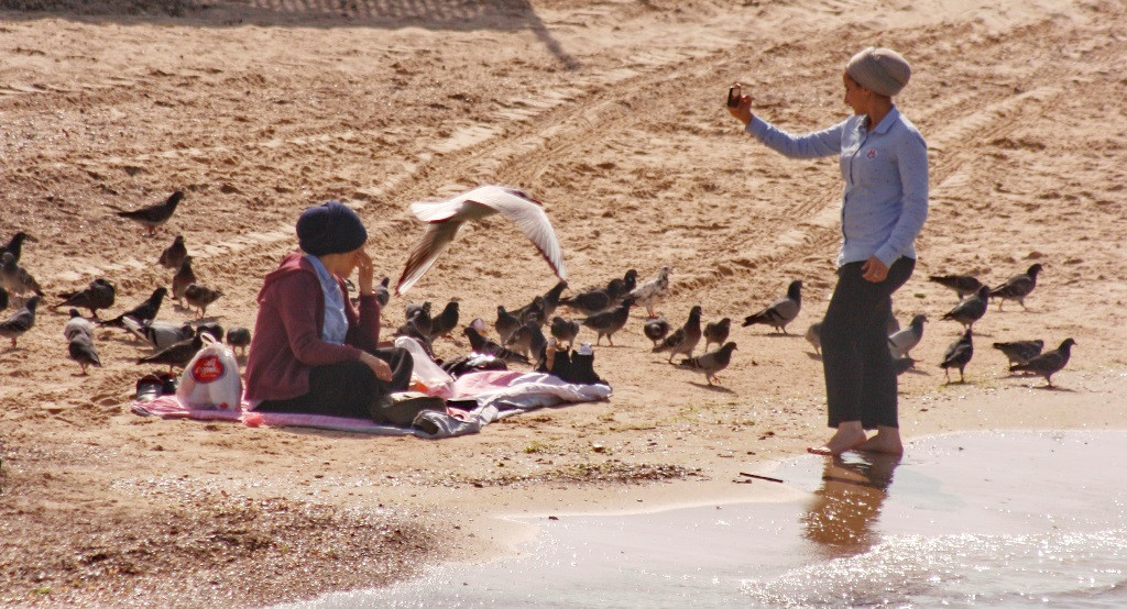 20 madaras fekvo.JPG