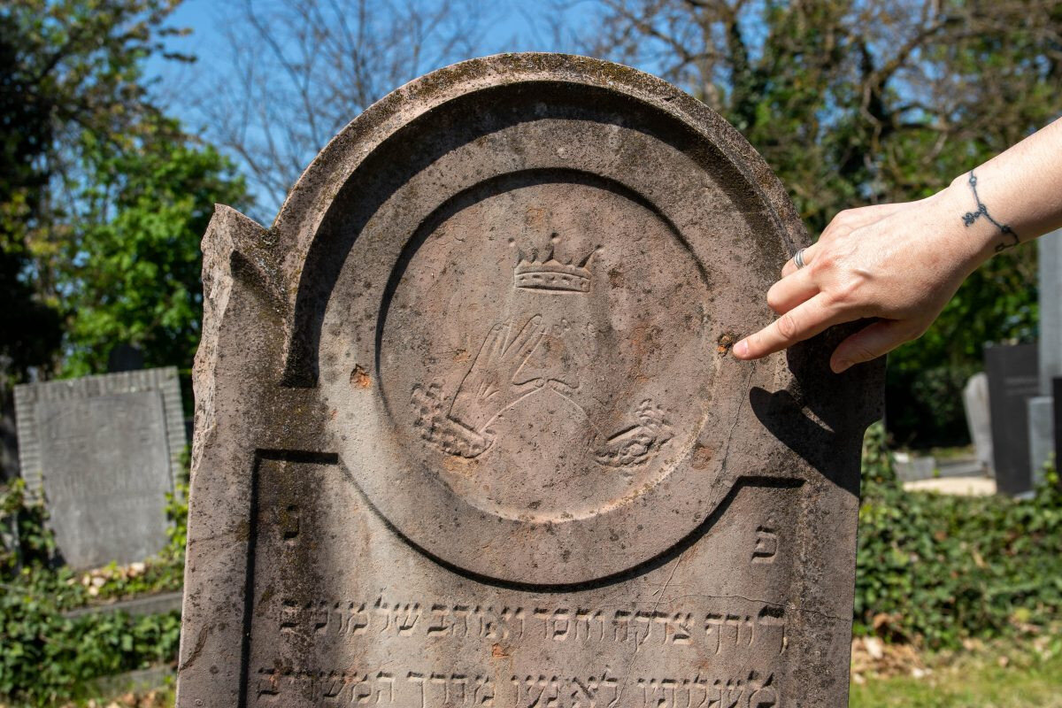 fotó: REflex24/Morva Mátyás