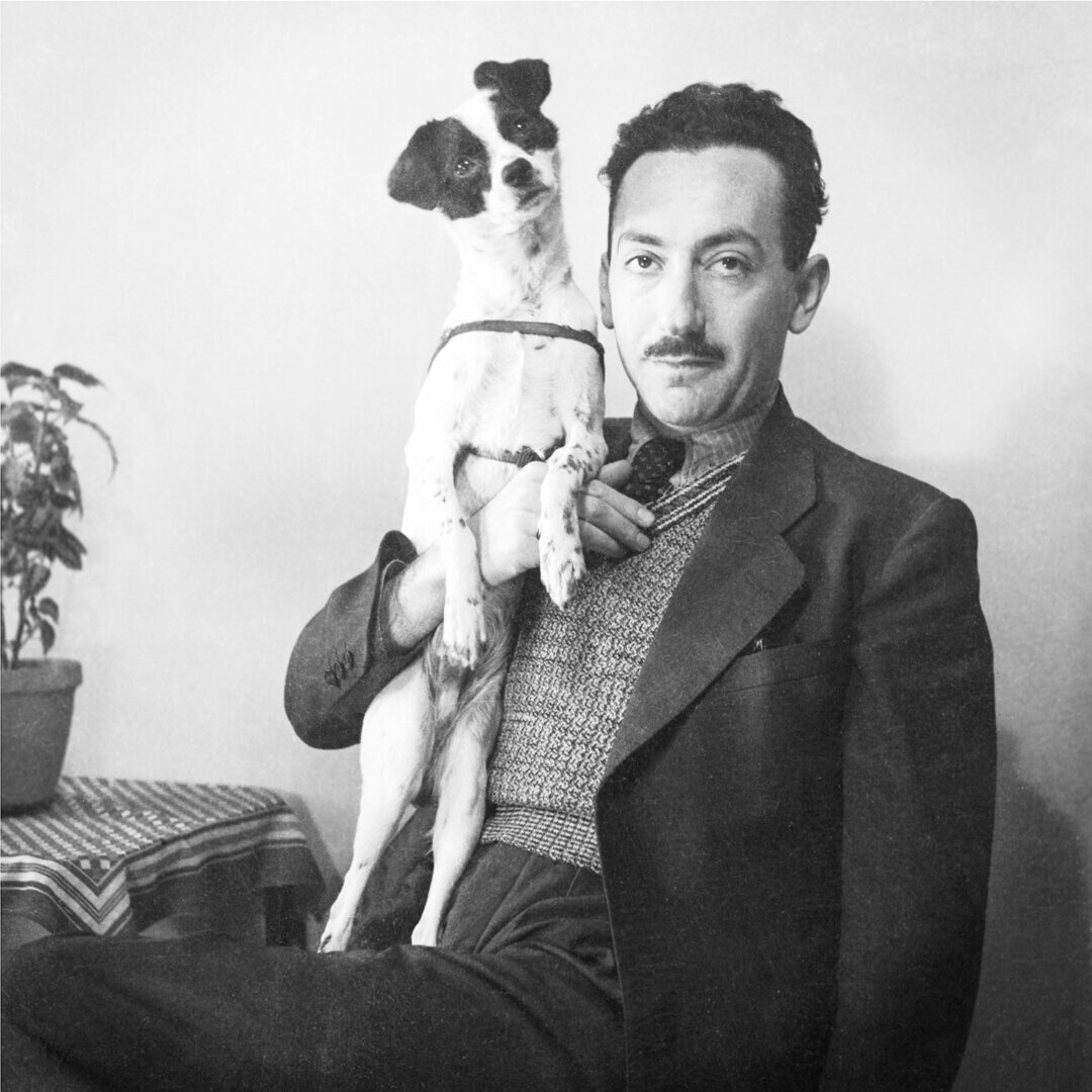 Önarckép – fotó: Nicolás Muller